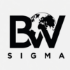 AI Literacy Duo Workbook (BW Sigma)