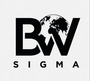 AI Literacy Duo Workbook (BW Sigma)